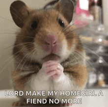 a hamster praying with the words lord make my homegirl a fiend no more below it