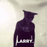 a shadow of a person with a cat 's head and the word larry on the bottom
