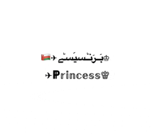 the word princess is on a white background with an airplane and crown