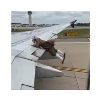 a man climbs up the wing of an airplane with a p50 t2 sign behind him