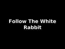 a black background with the words follow the white rabbit