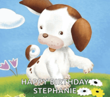 a picture of a brown and white dog with the words happy birthday stephanie