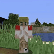 a minecraft character is standing in a field near a river .