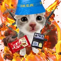 a cat wearing a blue ikea hat and a kitkat bar