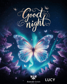 a poster that says " good night lucy " with a butterfly on it