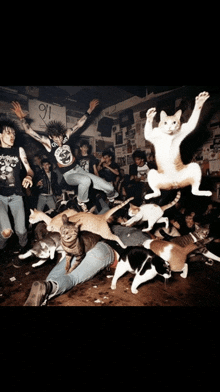 a man in a black shirt with the number 91 on it is jumping in the air surrounded by cats