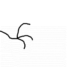 a black and white drawing of a spider on a white background with dots .