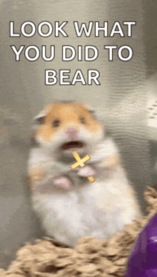 a hamster holding a cross with the words look what you did to bear behind it