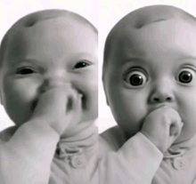 two babies are making funny faces and one is biting its hand