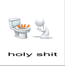 a cartoon of a person kneeling next to a toilet and the words holy shit below it