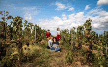 a family posing for a picture in a vineyard with a boy wearing a red shirt that says ' a '