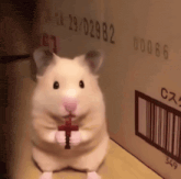 a hamster is holding a cross in front of a cardboard box with the date 23/02982
