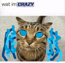 a picture of a cat with the words wait im crazy above it