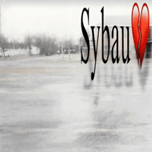 sybau is written in black letters on a white background