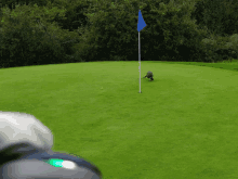 a golf ball is on the green with a blue flag in the background