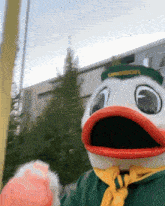 a duck mascot is wearing a green hat that says oakland