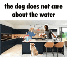 a man and woman are standing in a kitchen with a picture of a dog and a glass of water on the counter .