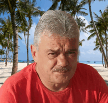 a man wearing a red shirt is sitting on a beach with palm trees in the background