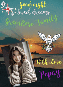 a poster that says good night sweet dreams greenrose family with love pepay