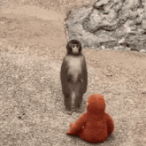 a monkey standing next to a stuffed animal