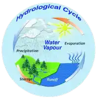 a diagram of the hydrological cycle showing water evaporation and runoff