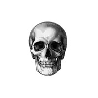 a black and white drawing of a human skull with a smile
