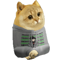 a cat wearing a hoodie that says trong trong trong trong trong trong trong trong trong trong trong