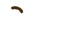 a white background with the word ok written in brown