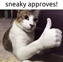 a cat is giving a thumbs up and the caption sneaky approves