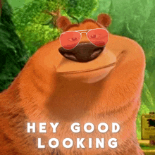 a cartoon bear wearing red ray-ban sunglasses says " hey good looking "