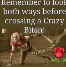 remember to look both ways before crossing a crazy bitch