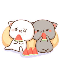 a couple of cats are sitting next to each other eating watermelon .