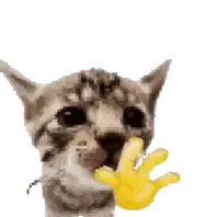 a pixelated image of a cat with a yellow hand