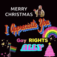 merry christmas i appreciate you gay rights ally is written on a black background