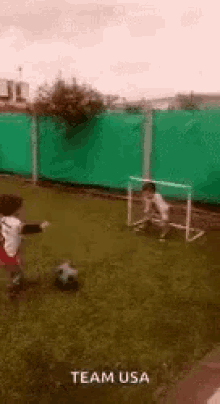 a young boy is kicking a soccer ball in a field with the words team usa written on the bottom