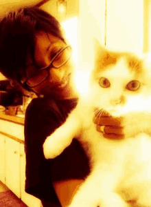 a woman wearing glasses holds a white cat