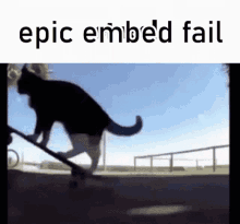 a cat is riding a skateboard down a ramp on a skateboard park .