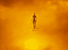 a silhouette of a woman standing on a surfboard with the word kepler written below her