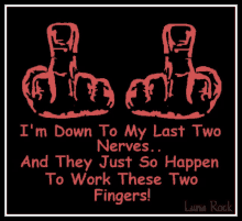 a poster that says i 'm down to my last two nerves and they just so happen to work these two fingers !