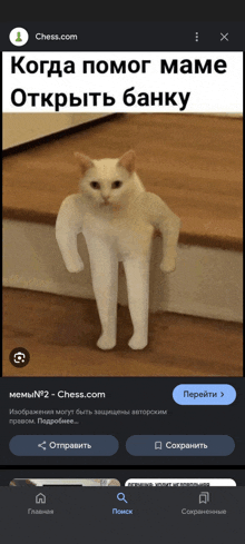 a picture of a cat with arms and legs is on a chess.com page