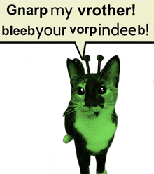 a black and white cat with a speech bubble that says gnarp my vrother