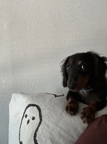 a puppy laying on a white pillow with a ghost on it