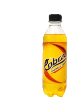 a bottle of cobra energy drink with a black lid