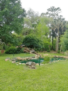 a pond in the middle of a lush green lawn