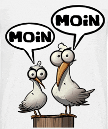 two seagulls standing next to each other with speech bubbles saying moin