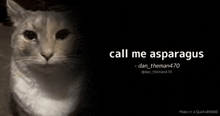 a cat is looking at the camera with the words call me asparagus on the bottom