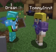 two minecraft characters , dream and tommyinnit , are standing next to each other in a video game .