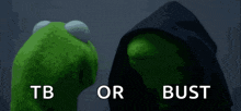 kermit the frog and darth vader are standing next to each other with tb or bust written on the bottom