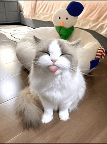 a cat sticking its tongue out next to a stuffed animal