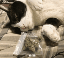 a black and white cat laying on a bed next to a bag of marijuana with koma written on it